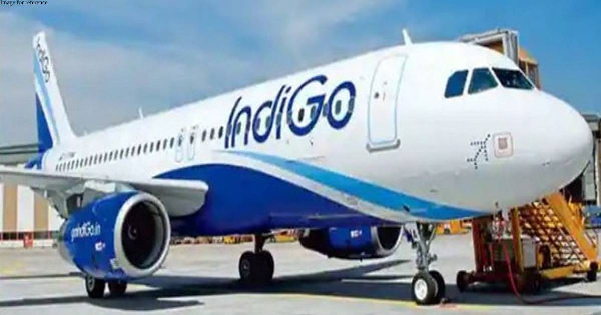DGCA orders probe after fire in IndiGo aircraft engine, plane grounded for inspection